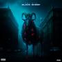 Black Sheep (prod.by 2havinn & friends) [Explicit]