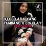 DJ OLD ADA YANG TUMBANG X LOLELOLAY