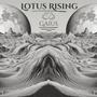 Lotus Rising