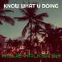 Know What U Doing (Explicit)