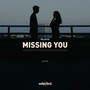 Missing You