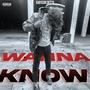 Wanna Know (Explicit)