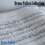 Bruno Pallesi collection, Vol. II