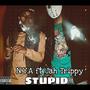 Stupid (feat. Jah Trippy) [Explicit]