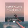 Won't Waste Your Time (Explicit)