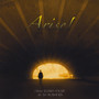 Arise! New Jewish Music by Sy Kushner Vol. 1