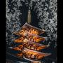 Trip to Japan 3