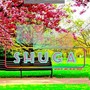 Shuga (Explicit)