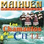 Los Chamantos de Mi Chile