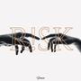 Risk (Explicit)