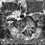 Two Ways Of Putrefaction (Split w/ Spitsaw) Brain Decor side [Explicit]