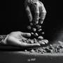 SASSI E POLVERE (feat. Dark Svrikatez) [Explicit]