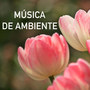 Música de Ambiente - Musicoterapia Relajante para Luchar contra la Ansiedad