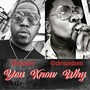 You Know Why (feat. Burras) [Explicit]