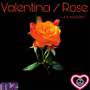 Valentina / Rose