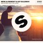 Sad Story (Out of Luck) (Extended Mix) [Explicit]