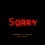 Sorry (feat. Wxld) [Explicit]