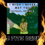 I Wish I Never Met You (DJ Fitz Remix)