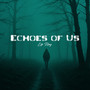 Echoes of Us