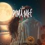 Puma Nike (feat. Juyal Beatz)