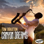 Canyon Dreams (radio single)