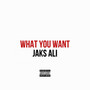 What You Want (Explicit)