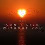 Can't Live Without You (Radio Edit)