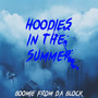 Hoodies in the Summer (Explicit)