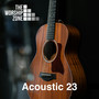 Acoustic 23