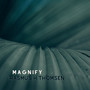 Magnify