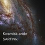 Kosmisk ande