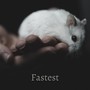 Fastest