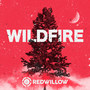 Wildfire