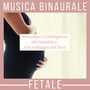 Musica binaurale fetale - Stimolare l'intelligenza del bambino e lo sviluppo del feto