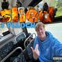 Shed (Explicit)