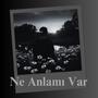 Ne Anlamı Var (Explicit)