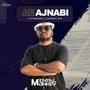 Ae Ajnabi (A Strangers Journey Mix)