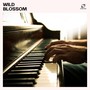 Wild Blossom: Peaceful Piano Music