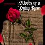 Words Of A Dying Rose (Explicit)