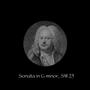 Sonata in G minor, SW 25
