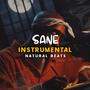 Sane (Instrumental)