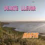 Dejate Llevar (Explicit)