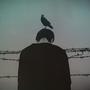 Freedom (Explicit)