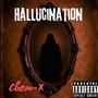 Hallucination (Explicit)