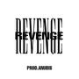 REVENGE