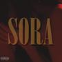 Sora (Explicit)