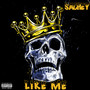 Like Me (Explicit)