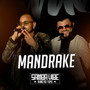 Mandrake