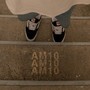 AM10 (Explicit)