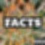 Facts (feat. Ron Dada & Bad Mojo) [Explicit]